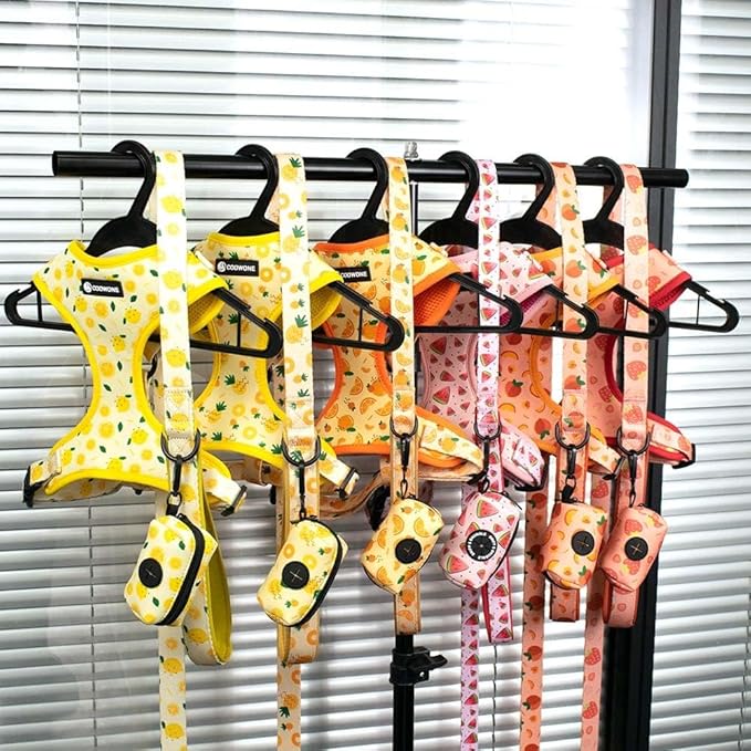 Dog Harness and Leash Set, Adjustable Dog Harness, Dog Leash, No Pull No Choke Puppy Harnesses for Walking Training for Small, Medium Pet (Lemon, S(Chest 13-19", Neck 9.5-13.1"))