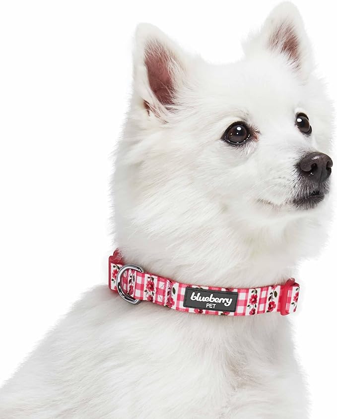Blueberry Pet Spring Scent Inspired Dainty Flower Dog Collar, Pink Check, Adjustable Dog Collar for Medium Dogs, Size Medium, Neck 14.5-20"