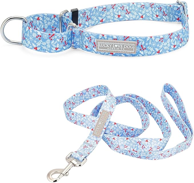 Lucky Love Dog Martingale Dog Collar & Leash - Adjustable, No-Slip, Durable, Comfortable, Soft Webbing, & Stylish Patterned Collar & Leash Set for Male and Female Dogs - Winterblue Combo, Small