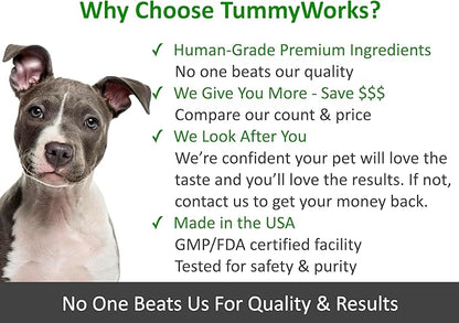 TummyWorks Probiotics for Dogs and Cats. 160 Scoops Probiotic Powder for Digestive Health, Gut, Immunity, Energy, Skin & Coat. 10 Strains, 5 Billion CFUs with 6 Enzymes & Prebiotics. Made in USA.