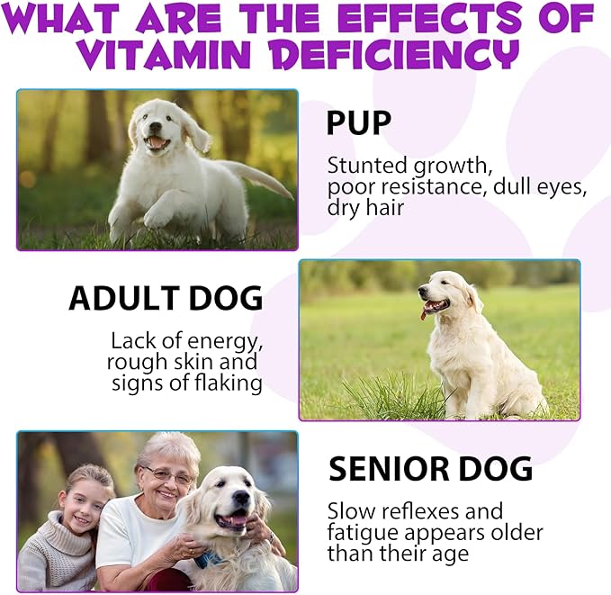 Dog Multivitamin,15 in 1 Dog Multivitamin Liquid Drops Supplements, Dog Vitamins for Heart Health, Bones, Joint, Skin & Coat, Bladder, Immune System Support 60ml