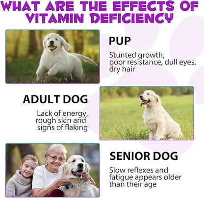 Dog Multivitamin,15 in 1 Dog Multivitamin Liquid Drops Supplements, Dog Vitamins for Heart Health, Bones, Joint, Skin & Coat, Bladder, Immune System Support 60ml