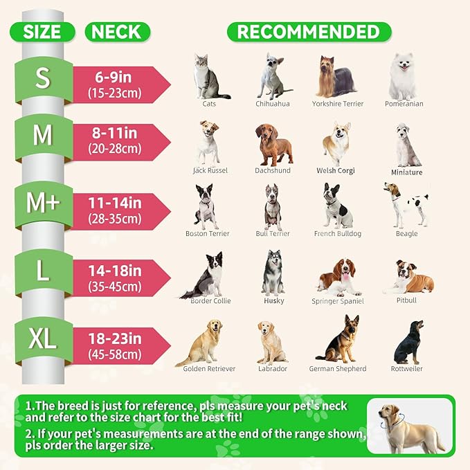 Upgraded Inflatable Dog Cone Collar with Transparent Anti-Licking Shield, Adjustable Elizabethan Collar for Medium Large Dogs, 2-in-1 Design with Detachable Shield and Soft Padding (M, Watermelon)