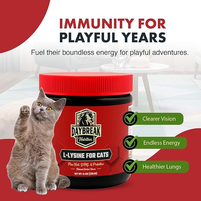 Daybreak Nutrition Lysine for Cats 900mg Powder - L-Lysine with 4 Active Ingredients for Immune and Respiratory Support - Made in USA Feline Supplement with 120 Servings