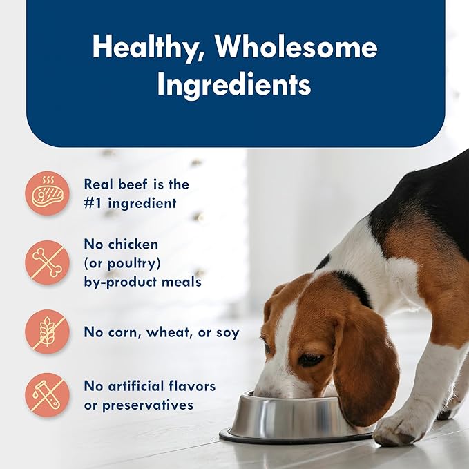 Blue Buffalo Delights Natural Adult Small Breed Wet Dog Food Cups, Pate Style, Filet Mignon Flavor in Savory Juice 3.5-oz (Pack of 12)