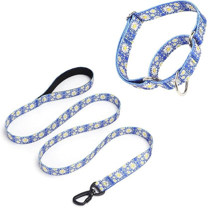 Dark Blue Martingale Dog Collar and Leash Set for Female Dogs, Cute Daisy Pattern Girl Dog Collar, Adjustable Soft Durable Pet Collar with 5ft Matching Leash for Small Medium Large Dogs