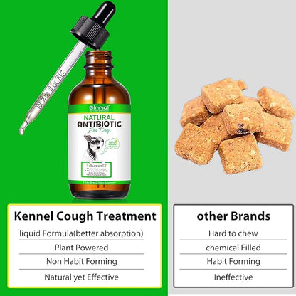 Antibiotics for Dogs, Natural Dog Antibiotics Supports Allergy, Itch Relief, UTIs & Ear Infections, Dog Multivitamin for Pets Support Skin, Coat, & Digestion, Bacon Flavor - 60ml x 2