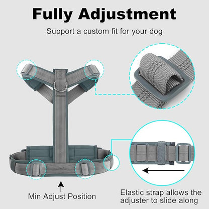 Plutus Pet No Pull Dog Harness, Adjustable Nylon Harness with Soft Padding, Reflective and Heavy Duty Dog Harness for Small, Medium, Large Dogs(Gray, XS)