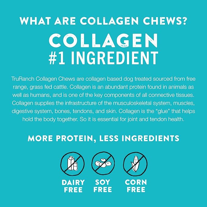 TRURANCH Collagen Chips - Collagen Dog Treats - Long Lasting Healthy Joint Support Dog Treat - Rawhide Alternative Chips - Skin & Coat Health - Made with Real Beef, 1 Bag, 8.2 oz
