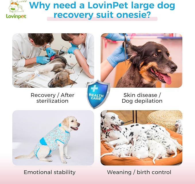 LovinPet Surgery Suit for Dogs - Dog Surgery Recovery Suit Female & Male Anti-Licking Protection Full Body Coverage for Anti-Shedding