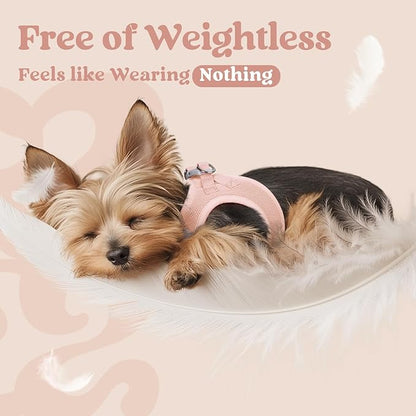 rabbitgoo Small Dog Harness, Step-in Soft Mesh Puppy Vest with Safety Buckle, Breathable Reflective Pet Harness for Small Medium Dogs, Pink XL