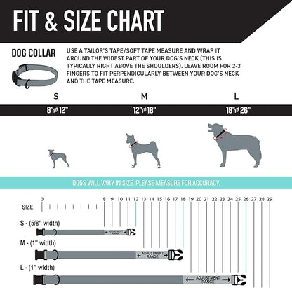 Wolfgang Heavy Duty Dog Leash, Pull-Tested to Over 800 lbs for Walking & Training, PackLeader Print, Small