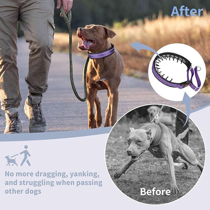 Mayerzon Martingale No Pull Collar for Medium Large Dogs, Patented Anti Pull Dog Collar with Buckle for Walking Training, with Reflective Stitching and Neoprene Padding, Adjustable(Purple, L)