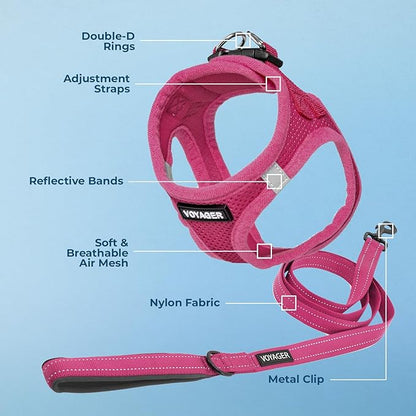 Best Pet Supplies Voyager Step-in Air All Weather Mesh Harness and Reflective Dog 5ft Leash Combo with Neoprene Handle, for Small, Medium and Large Breed Puppies - Set (Fuchsia), X-Small