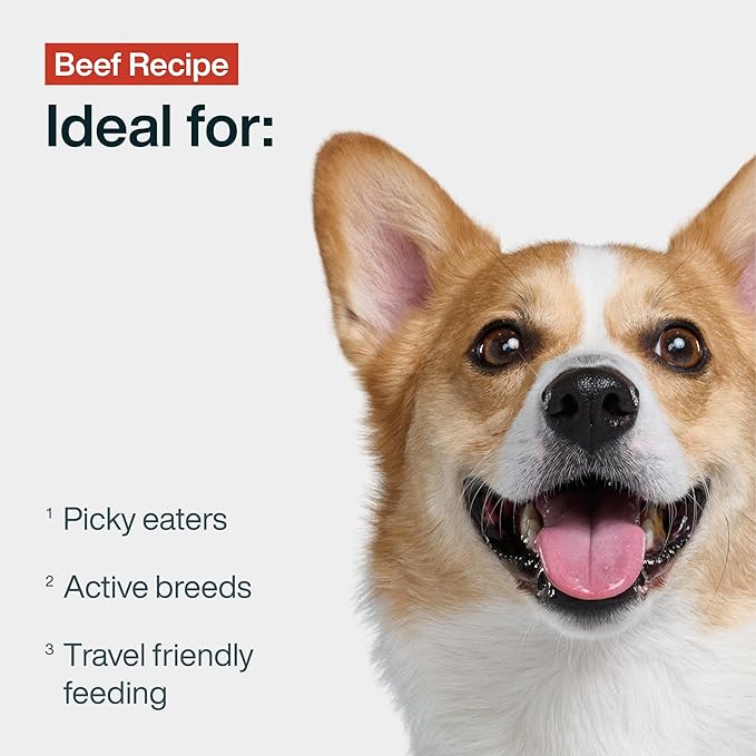 JustFoodForDogs JustFresh Wet Dog Food, Fresh Pet Meals and Toppers with No Preservatives, Resealable Package, Human Grade, Home-Cooked Beef, 12 oz - 7 Pack