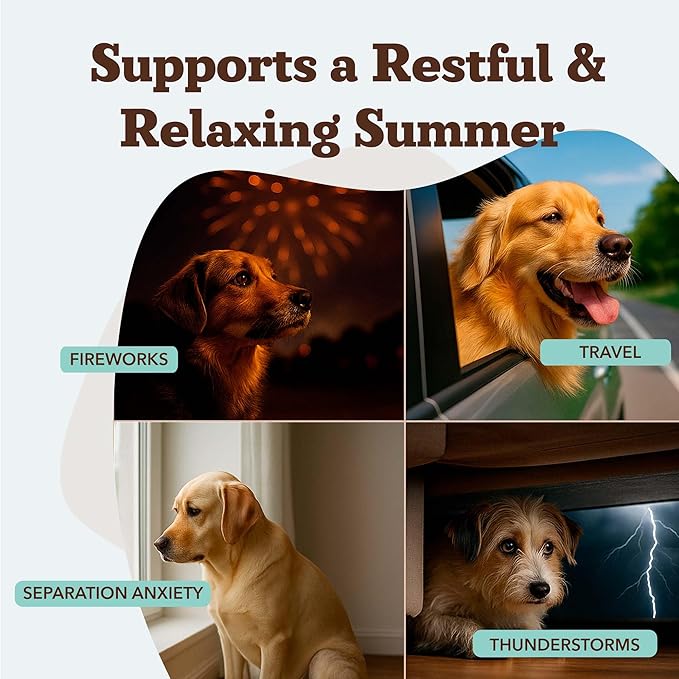 Natural Dog Company Calming Chews for Dogs, Stress & Anxiety Relief Supplement 90 cnt with Chamomile, Valerian Root & Melatonin, Natural Soothing Chews for Travel, Thunder, Fireworks & Separation