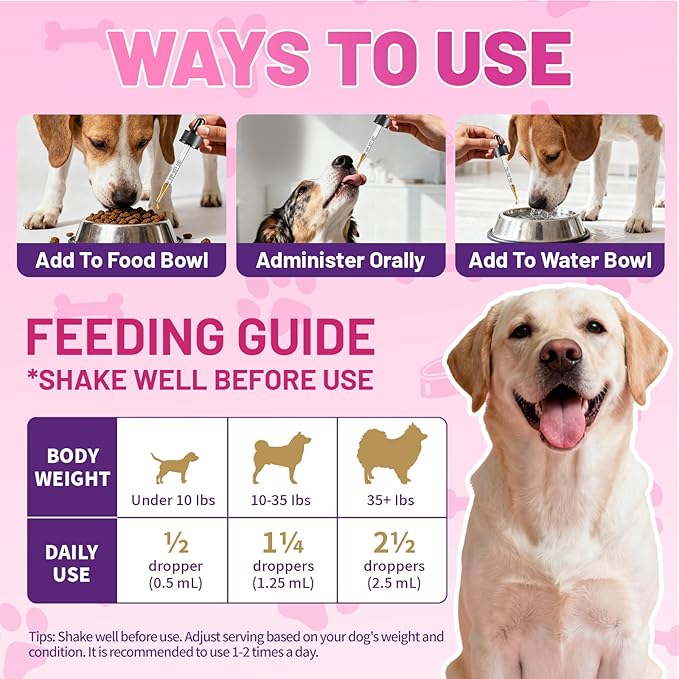 Wagmee Allergy Relief Drops for Dogs, Dog Itchy Skin Relief & Natural Anti Itch Yeast with Omega-3, Turmeric for Dogs Ears Paw Relief - Dog Seasonal Allergies, Skin & Coat Immune Supplement