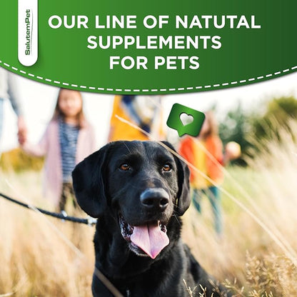 Dog Antibiotics Forte Health | Antibiotics for Cats | Herbal Supplement for All Breeds | for Easy Breathing | Digestion and Urination | Skin & Coat | Chicken Flavor | 2 Oz