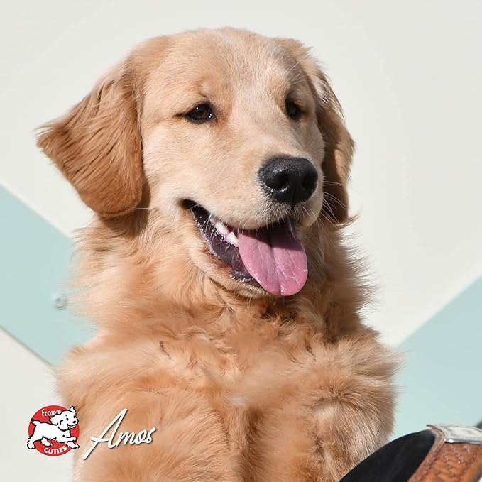 Fromm Four-Star Nutritionals Surf & Turf Dog Food - Premium Dry Dog Food - Salmon Recipe - 4 lb