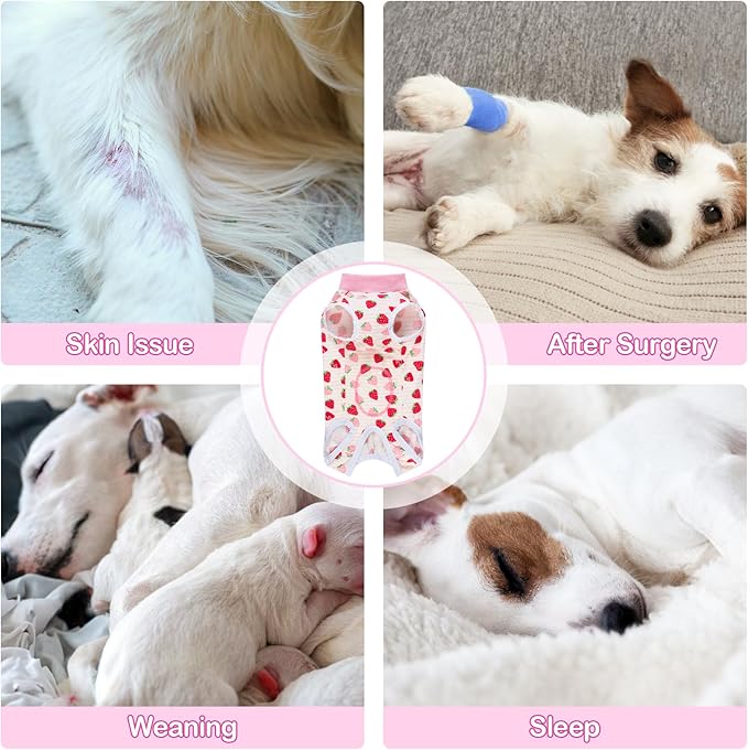 Coppthinktu Recovery Suit for Dogs After Surgery, Dog Onesie Surgery Recovery Suit for Female Spay, Soft Surgical Pajamas Bodysuits for Puppy to Prevent Licking Dog Cone Alternative Strawber L