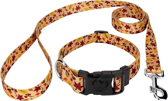 Country Brook Petz - Fall Foliage Everyday Dog Collar and Leash - Awesome Autumn Collection Featuring Designs You Will Fall for (1/2 Inch, Extra Small)