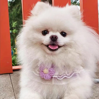 Cat Harness Collar and Leash Set, Sweet Lace Floral Kitten Collar, Escape Proof Puppy Chest Harness, Adjustable Cute Harness Leash Set for Cat Puppy Dog Outdoor Walking (Purple, S)