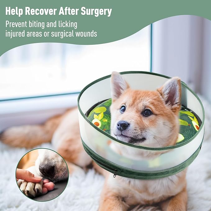 Inflatable Dog Cone, Soft Dog Cone Collar After Surgery for Alternative with Enhanced Anti-Licking Guard Shield Adjustable Detachable, Elizabethan Collar (M, Avocado)