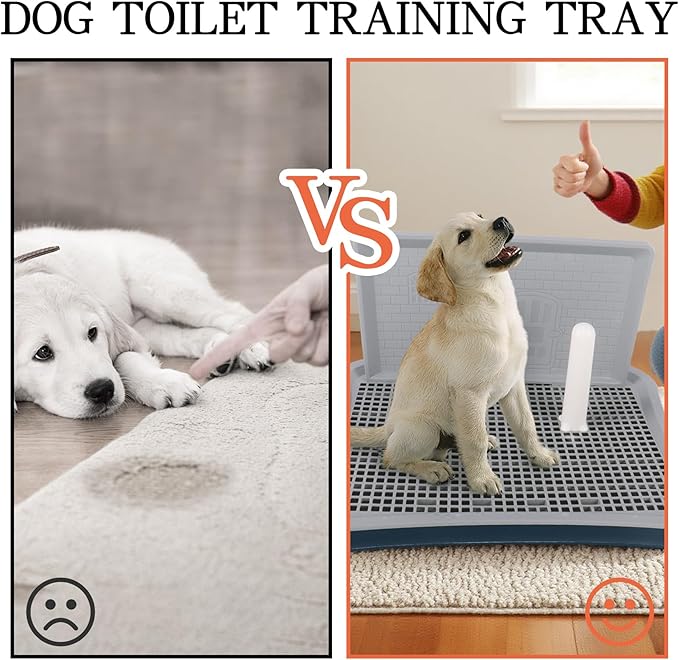 Dog Pee Pad Holder with Pee Pads, 20.1"x15.6"X1.4" Indoor Dog Potty Pad with Splash Guard for Puppy and Small Dogs, Housebreaking Supplies, Pet Products (Blue)