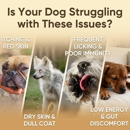 Dog Allergy Chews is Collagen Omega 3 Human Anti Itch Relief for Dogs Multivitamin Itching Skin Relief and Aller Immune Pet Allergy Chews Coat Licking Supplement Pills Meds Treats 200 Bites for Dogs