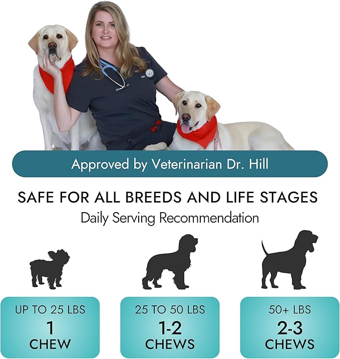 Pet Vet Multi Soft Chews for Dogs (Beef Liver, 60 Chews) – Multi, Probiotics for Digestive Health – Glucosamine, Skin Supplement – Immune Support, Supplements