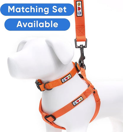 Pawtitas Solid 6 ft Orange Dog Leash XXS/Cat Custom Name and Phone Embroidery Strong Nylon Leash for Small Breeds