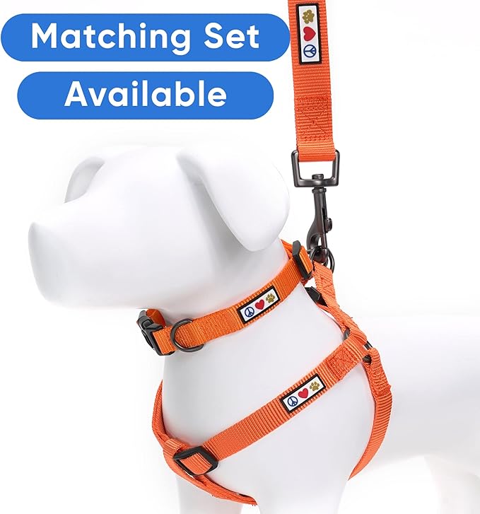 Pawtitas Personalized 6 ft Orange Dog Leash M/L Custom Name and Phone Embroidery Strong Nylon Leash for Medium and Large Breeds