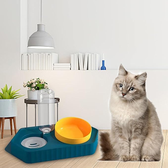 Dog Bowls Drinking Food Container Wet and Dry Food Bowls Set Pet Feeding Station Automatic Pet Feeder for Cats Dogs Supplies, Double Blue