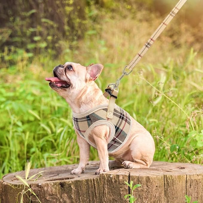 PUPTECK Soft Mesh Dog Harness Small Sized and Leash Set Step-in Plaid Puppy Padded No Pull Vest Harness for XS Dogs Cats Outdoor Walking, Beige M, Chest 15"-16"