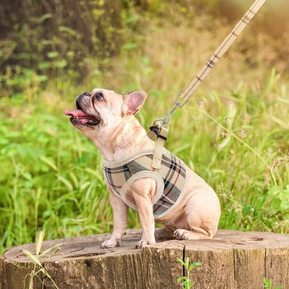 PUPTECK Soft Mesh Dog Harness Small Sized and Leash Set Step-in Plaid Puppy Padded No Pull Vest Harness for XS Dogs Cats Outdoor Walking, Beige M, Chest 15"-16"