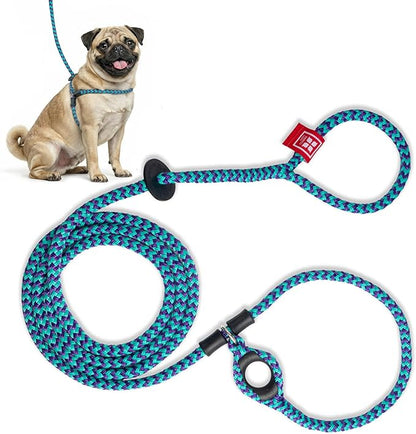Harness Lead No Pull Dog Harness and Leash Set, Anti Pull Dog Harness, One-Piece Cushioned Rope Safely Prevents Escaping and Pulling (Small/Medium, Purple/Turquoise)