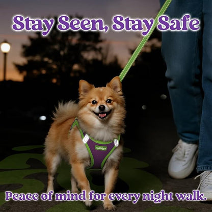 rabbitgoo Dog Harness Small Sized and Leash Set, Step-in Breathable Pet Harness, Soft Walking Reflective Puppy Vest for Small Dogs, Purple & Green, M