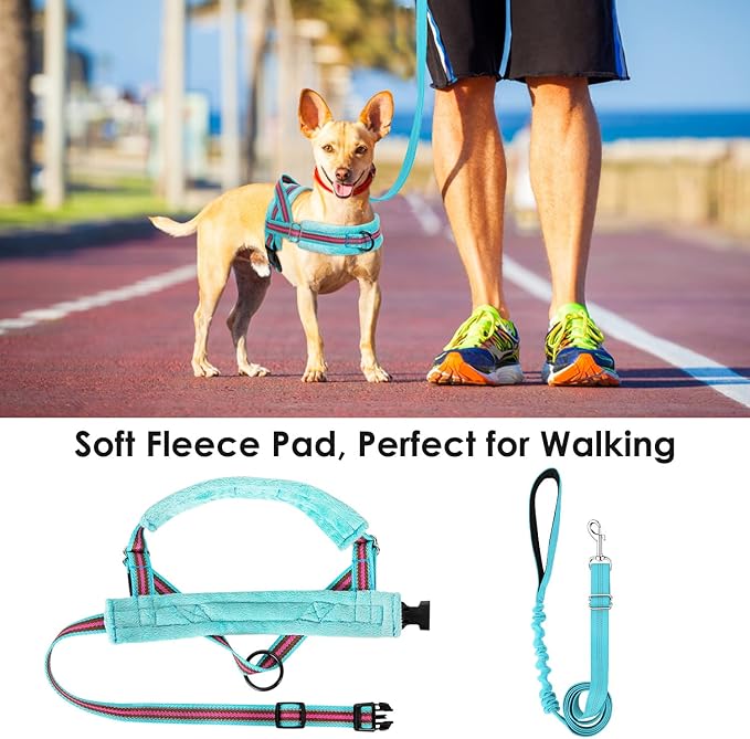 Lukovee No Pull Dog Harness and Leash Set, Soft Padded Small Dog Harness, Neck & Chest Adjustable Reflective Vest Puppy Harness with 4ft Lightweight Anti-Twist Dog Leash for Small Dogs (XS, 01-LBL)