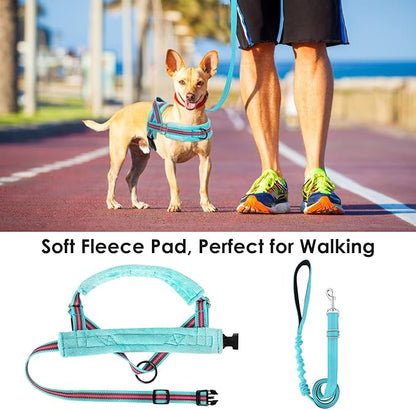Lukovee No Pull Dog Harness and Leash Set, Soft Padded Small Dog Harness, Neck & Chest Adjustable Reflective Vest Puppy Harness with 4ft Lightweight Anti-Twist Dog Leash for Small Dogs (XXS, 01-LBL)