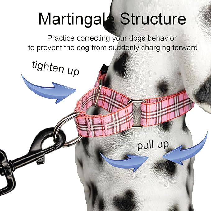 Martingale Collar with Quick Release Buckle Cute Girl Female Training Dog Collars (Pink Plaid, Medium)