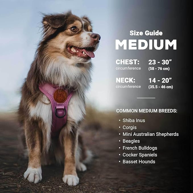 Wilderdog Lightweight Dog Harness with Reflective Straps - Medium - Seafoam