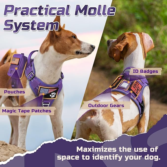 rabbitgoo Tactical Dog Harness for Large Dogs, No Pull Military Service Vest with Handle & Molle, Easy Control for Training Walking, Adjustable Reflective Straps, Purple, L