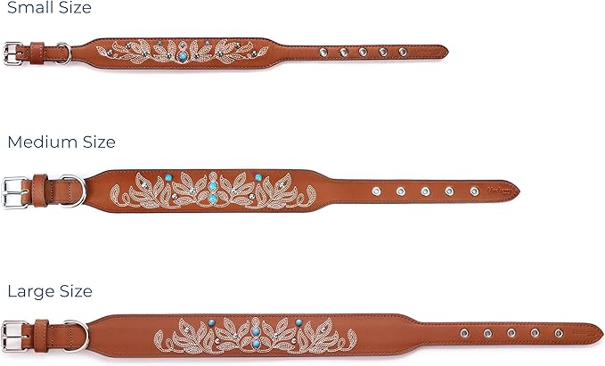 Blueberry Pet Western Dog Collar in Canyon Brown - 15-18 Inch Necks Floral-Embroidered Leather with Turquoise Studs, Dog Collars for Medium Dogs, Adjustable Leather Girl Dog Collar