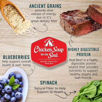 Chicken Soup for the Soul All Natural Premium Adult Dry Dog Food, Real Meat First Ingredient, No By-Products, Supports Gut & Immune Health, Beef & Brown Rice, 13.5lb