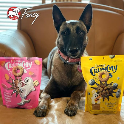 Fromm Crunchy Os Slammon' Smoked Salmon Dog Treats - Premium Crunchy Dog Treats - Salmon Recipe - 26 oz