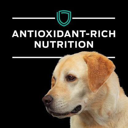 Purina Pro Plan Veterinary Diets EN Gastroenteric Canine Dog Food Dry Formula - 6 lb. Bag