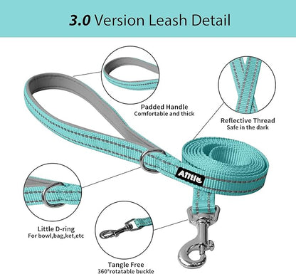 AIITLE Small Harness for Puppy with A Leash - Dog Vest Harness with Super Breathable Mesh, Reflective No-Pull Pet Harness for Outdoor Walking, Running for Small Dogs, Cats Turquoise XXS