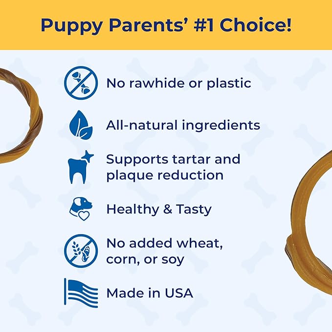 N-Bone Puppy Teething Rings Taste of Texas Queso Con Carne Flavor 3 Count