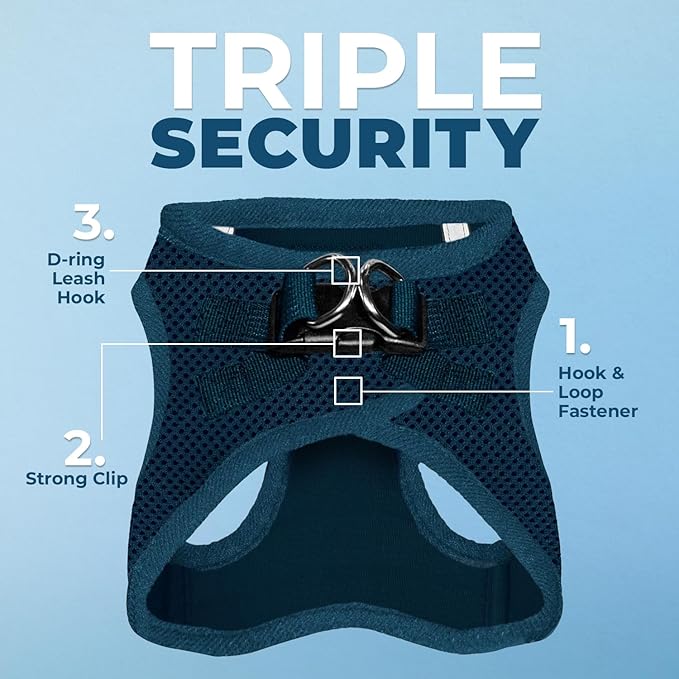 Best Pet Supplies Voyager Step-in Air Harness - All Weather Mesh, Reflective, No Pull Harness for Dogs, Cats - Secure with Hook & Loop Fastener, Buckle, Double D-Rings - Blue, M