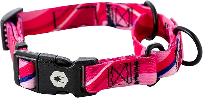 Wolfgang Heavy Duty Martingale Dog Collar with Quick Release Nylon Buckle for Walking & Training, MarbleSwirl Print, X-Large